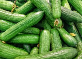 Dieta wegańska – zasady, korzyści i przykłady posiłków